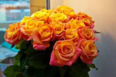 Similar image 21816492