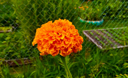 Similar image 21817183