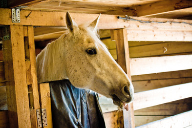 Similar image 21817337