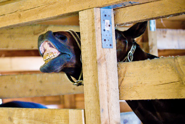 Similar image 21817338