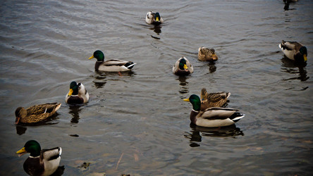 Similar image 21816494