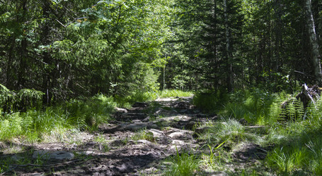 Similar image 21816077