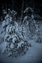 Similar image 21824679