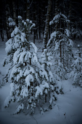 Similar image 21824680