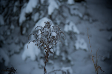 Similar image 21824681