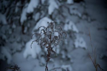 Similar image 21824682