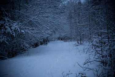 Similar image 21824683