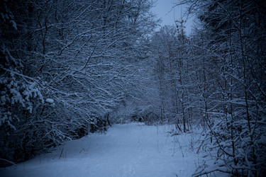 Similar image 21824684