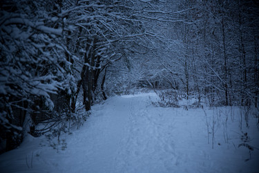 Similar image 21824685