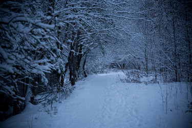 Similar image 21824686