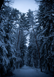 Similar image 21824688