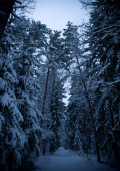 Similar image 21824689