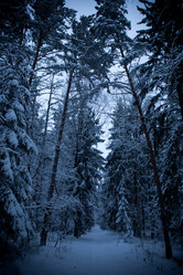 Similar image 21824690