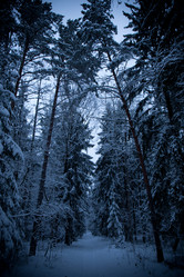 Similar image 21824691