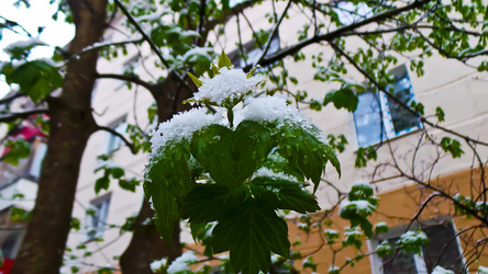 Similar image 21817188