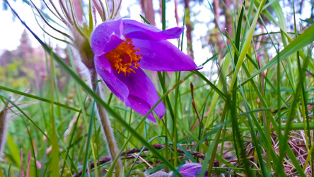 Similar image 21817189