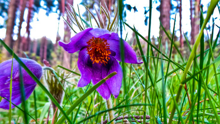 Similar image 21817191