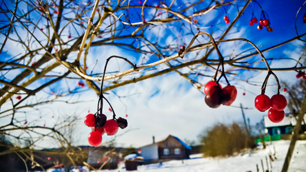 Similar image 21817193