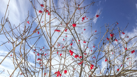 Similar image 21817194