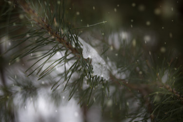 Similar image 21817195