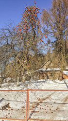 Similar image 21817339