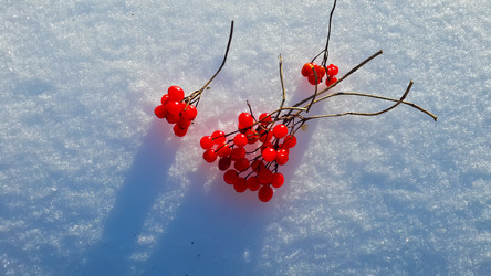 Similar image 21817340