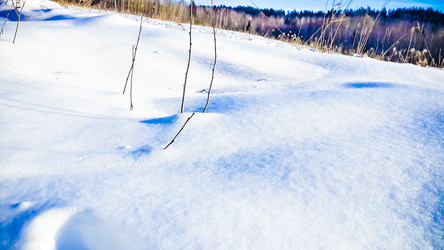 Similar image 21817341