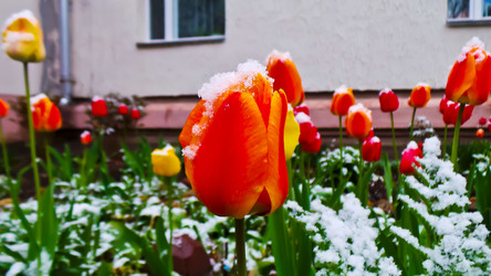 Similar image 21817342