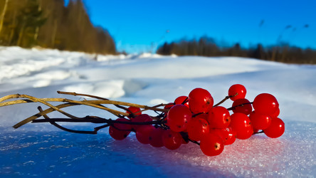 Similar image 21817343