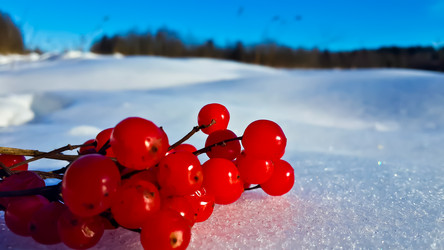 Similar image 21817344