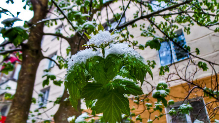 Similar image 21817345