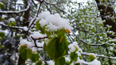 Similar image 21817346