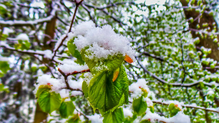 Similar image 21817348