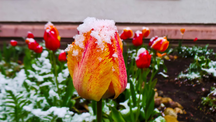 Similar image 21817350