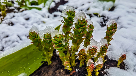 Similar image 21817353