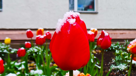 Similar image 21817354