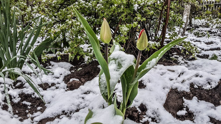 Similar image 21817355