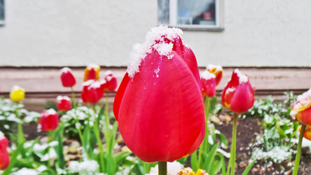 Similar image 21817356