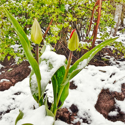 Similar image 21817357