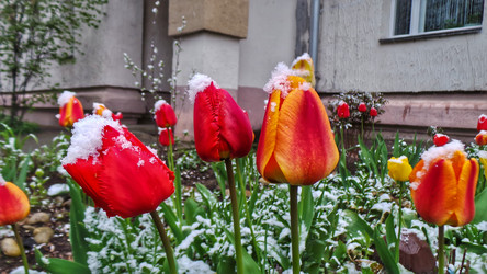 Similar image 21817360