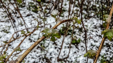 Similar image 21817361