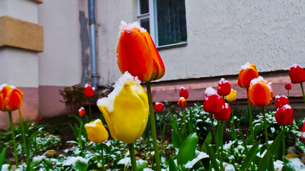 Similar image 21817362