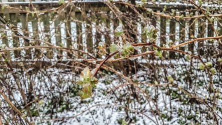 Similar image 21817363