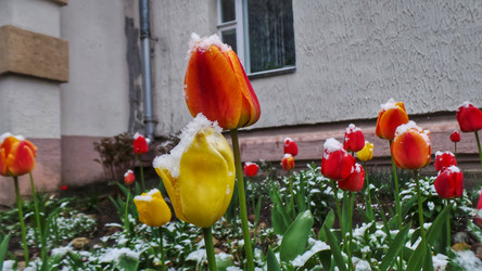 Similar image 21817364