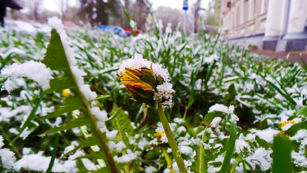 Similar image 21817366