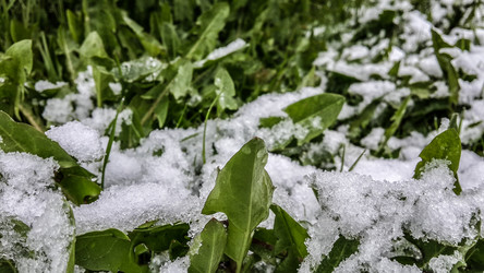 Similar image 21817367