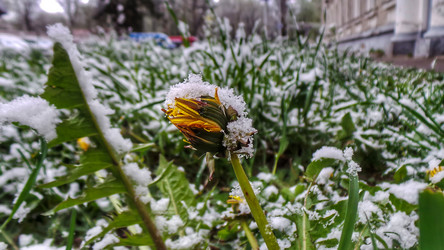 Similar image 21817368