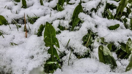 Similar image 21817369