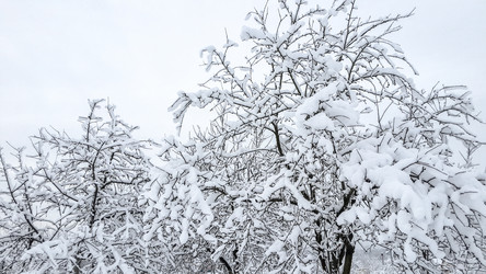 Similar image 21824698