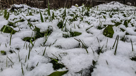 Similar image 21817370